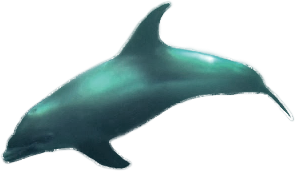 mom